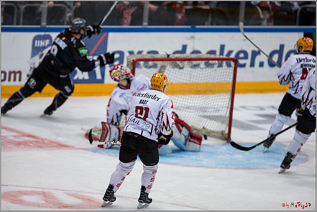 DEL, Koelner Haie - Fishtown Pinguins Bremerhaven, 29.01.2017
